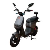 Moto Elétrica Foston X13 EX, 960W, até 32km/h, Autonomia até 50km, Grey...