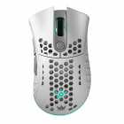 MOUSE GALAX HOF ACE M2 GAMING WHITE GMGHM2P708RG2BW