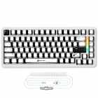 TEC ATTACK MAGNETICO X82 PRO HE RGB C/CABO BLACK BLACK CONTOUR LINE