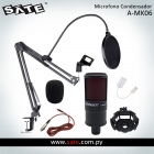 MICROFONE SATE A-MK06 LIVE BROADCAST